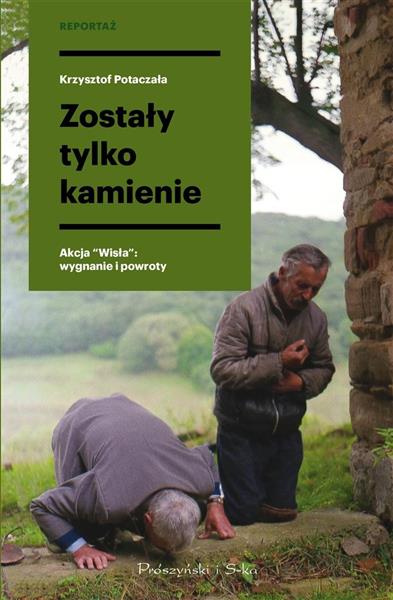 ZOSTAŁY TYLKO KAMIENIE