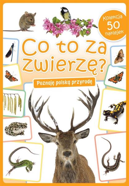 CO TO ZA ZWIERZĘ?