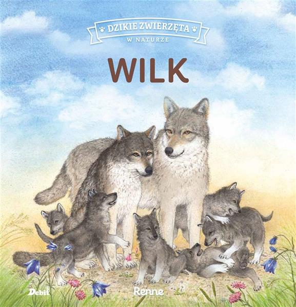 WILK DZIKIE ZWIERZĘTA W NATURZE