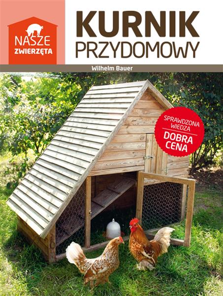 KURNIK PRZYDOMOWY