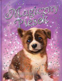 MAGICZNY PIESEK CZARODZIEJSKIE PRZYGODY