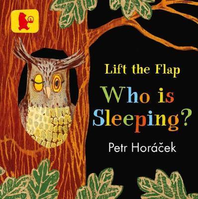 WHO IS SLEEPING?