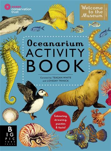 Oceanarium Activity