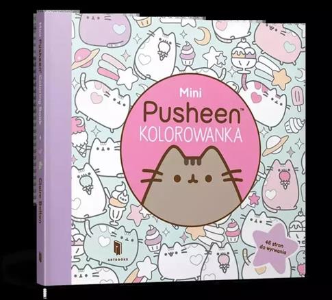 Mini Kolorowanka Pusheen
