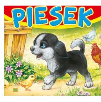 SZTYWNE STRONY KWADRAT. PIESEK