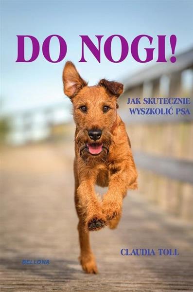 DO NOGI! JAK SKUTECZNIE WYSZKOLIĆ PSA