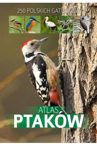 ATLAS PTAKÓW