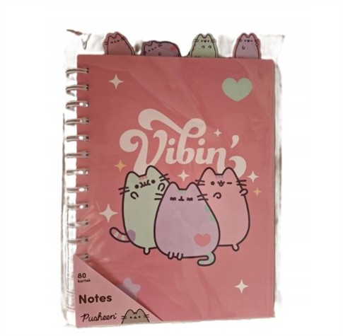 ZESZYT W LINIĘ A5 PUSHEEN 80 KARTEK NOTES