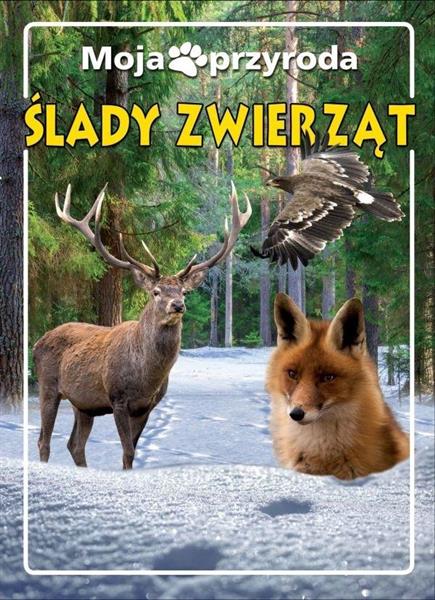 MOJA PRZYRODA ŚLADY ZWIERZĄT