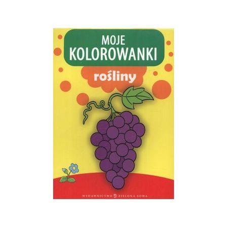 MOJE KOLOROWANKI. ROŚLINY