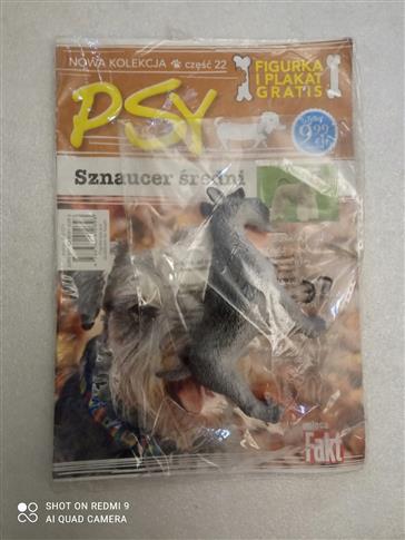 SZNAUCER ŚREDNI. KOLEKCJA PSY. CZ.22