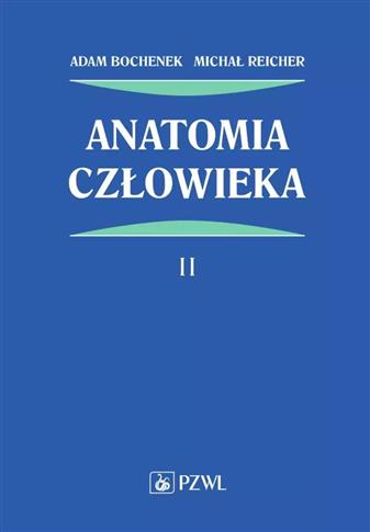 ANATOMIA CZŁOWIEKA. TOM 2