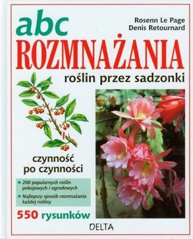 Abc rozmnażania roślin przez sadzonki