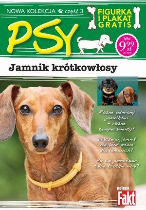 Jamnik krótkowłosy. Kolekcja Psy