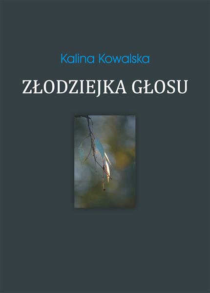 ZŁODZIEJKA GŁOSU