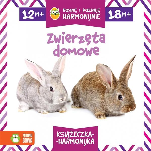 ROSNĘ I POZNAJĘ HARMONIJNIE. ZWIERZĘTA DOMOWE