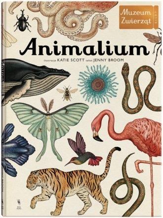 ANIMALIUM MUZEUM ZWIERZĄT WYD. 1
