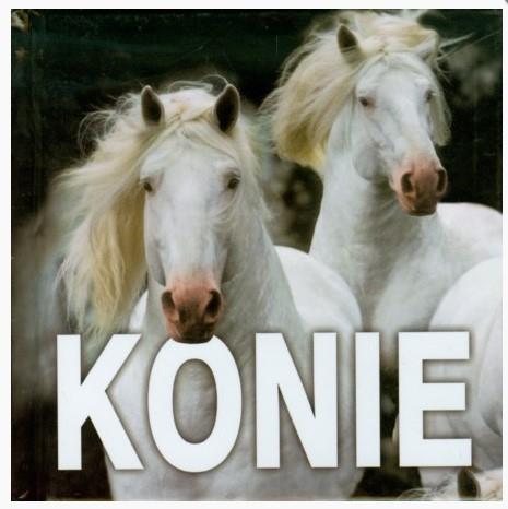 Konie