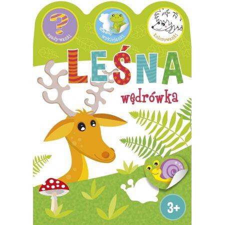 Leśna wędrówka