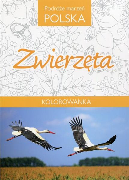 KOLOROWANKA. PODRÓŻE MARZEŃ POLSKA. ZWIERZĘTA