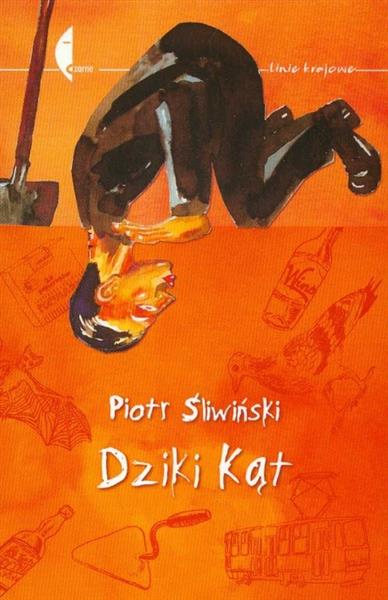 DZIKI KĄT P.ŚLIWIŃSKI BR CZARNE