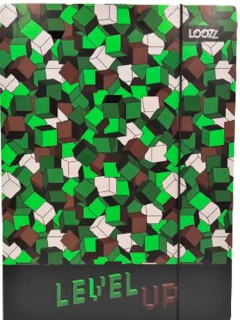 LOOZZ TECZKA Z GUMKĄ A4 ST. MAJEWSKI, MINECRAFT WZ