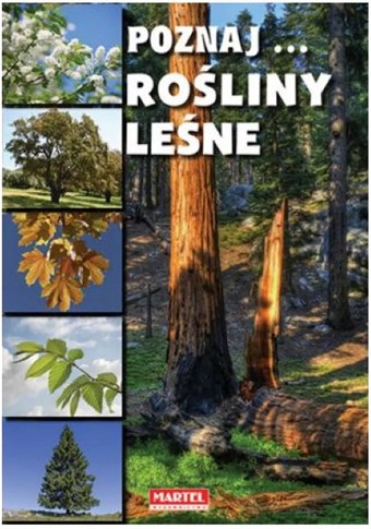 POZNAJ... ROŚLINY LEŚNE