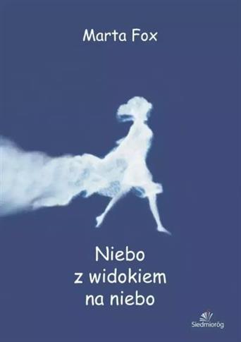 NIEBO Z WIDOKIEM NA NIEBO