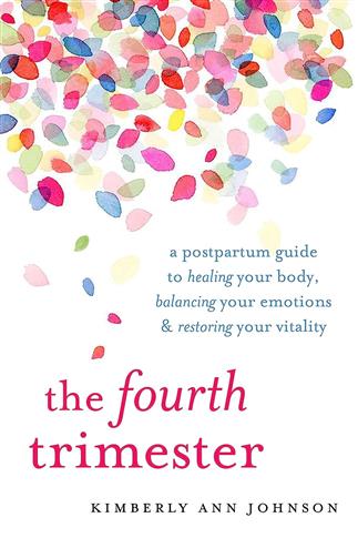 Kimberly Ann Johnson The Fourth Trimester A Postpa