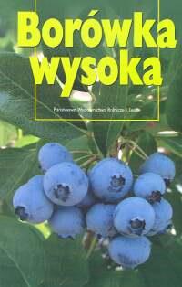 BORÓWKA WYSOKA