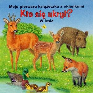 KTO SIĘ UKRYŁ? W LESIE