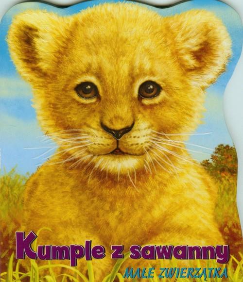 KUMPLE Z SAWANNY