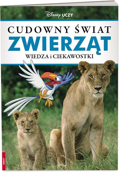 DISNEY UCZY . WIEDZA I CIEKAWOSTKI CUDOWNY ŚWIAT?