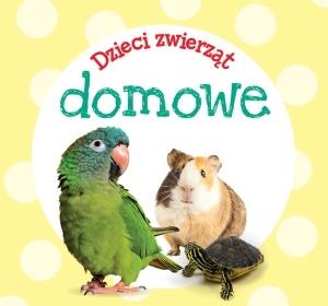 DZIECI ZWIERZĄT - DOMOWE