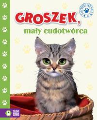 ZSM TW GROSZEK, MAŁY CUDOTWÓRCA