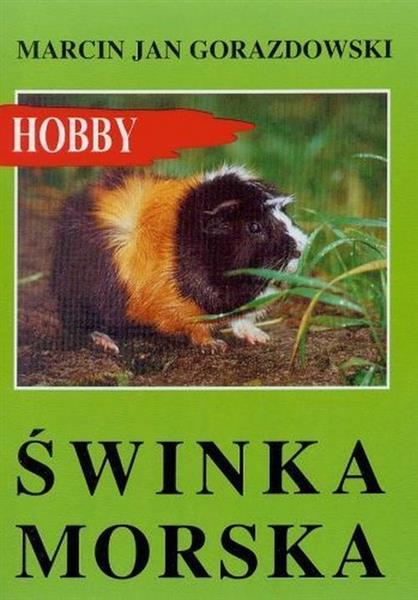 ŚWINKA MORSKA (DODRUK 2017)