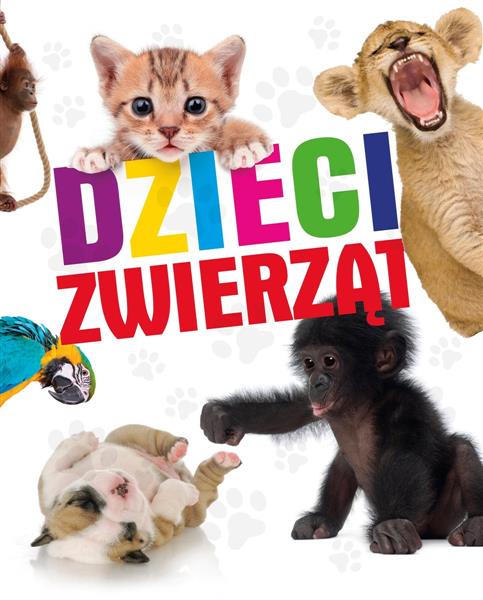 DZIECI ZWIERZĄT