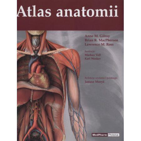 ATLAS ANATOMII