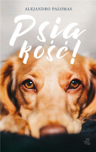 PSIAKOŚĆ!