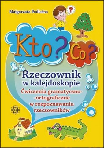 Kto? Co? Rzeczownik w kalejdoskopie