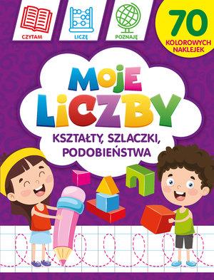 MOJE LICZBY: KSZTAŁTY, SZLACZKI, PODOBIEŃSTWA