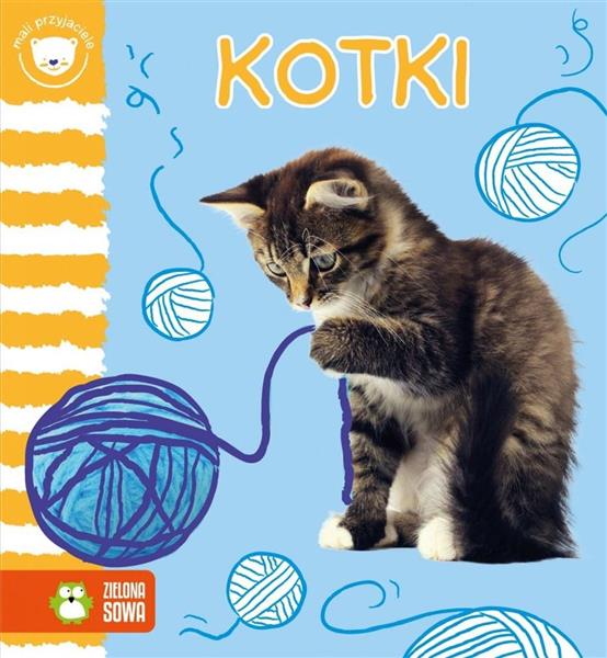 MALI PRZYJACIELE. KOTKI