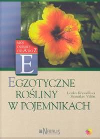 Egzotyczne rośliny w pojemnikach