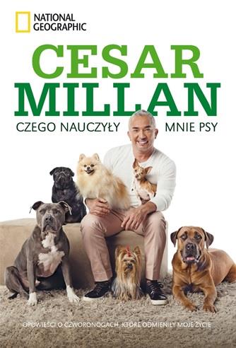 CZEGO NAUCZYŁY MNIE PSY. OPOWIEŚCI O CZWORONOGACH,