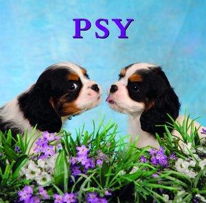 PSY