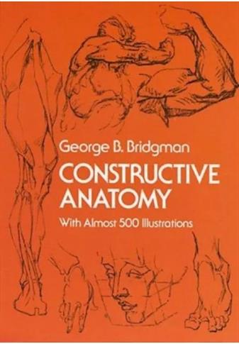 Constructive Anatomy: With Almost 500 Illustration