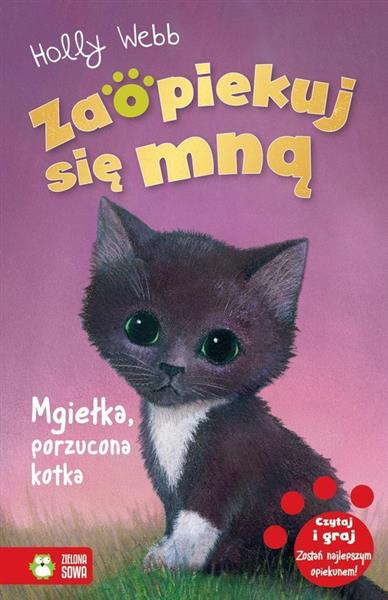 MGIEŁKA PORZUCONA KOTKA