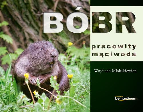 BÓ  PRACOWITY MĄCIWODA