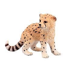 MŁODY GEPARD