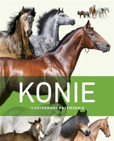 KONIE